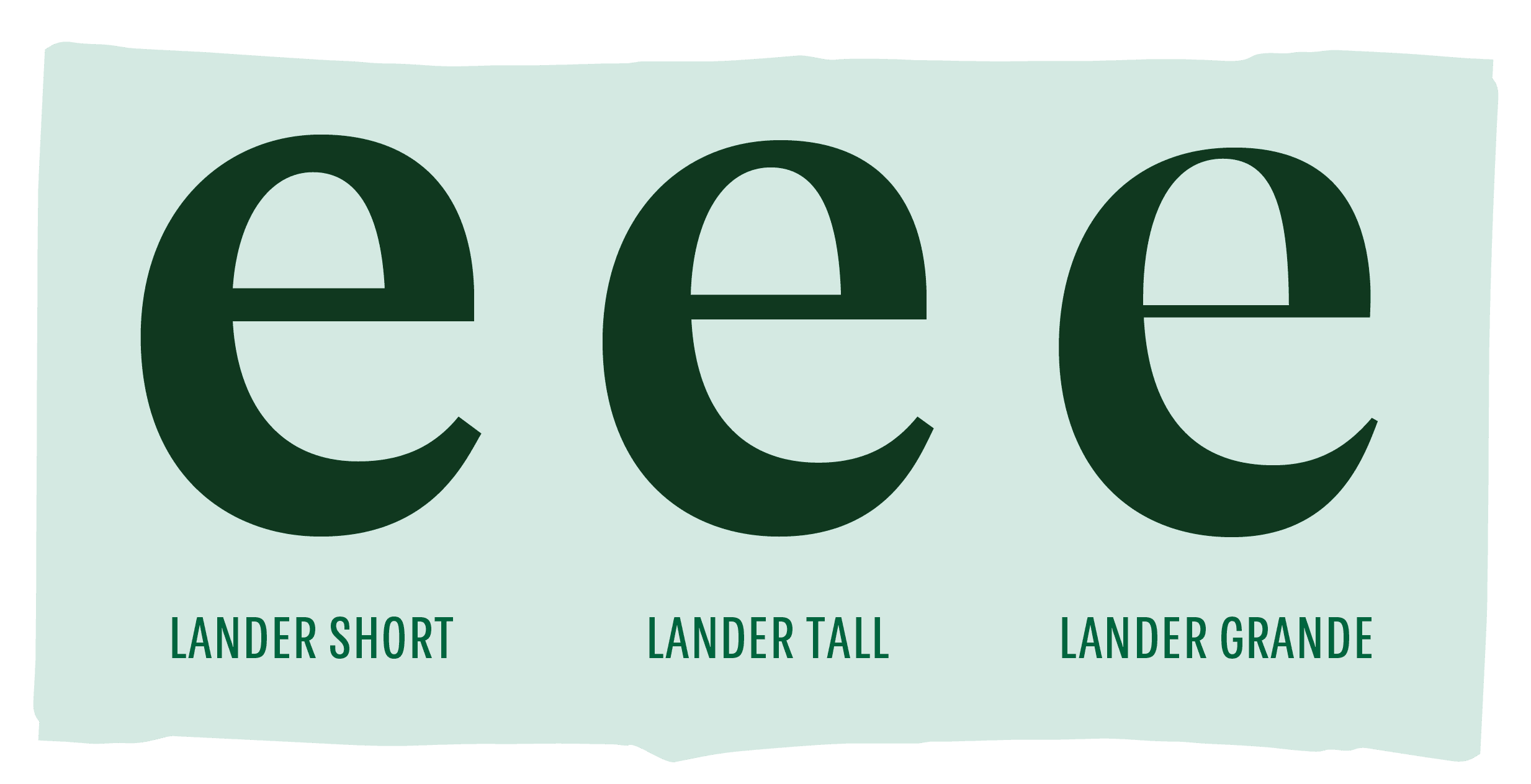 <b class="accent">FIG. 12 — </b> A comparison of the three optical sizes, showing the change in hairline thickness, amongst other details.