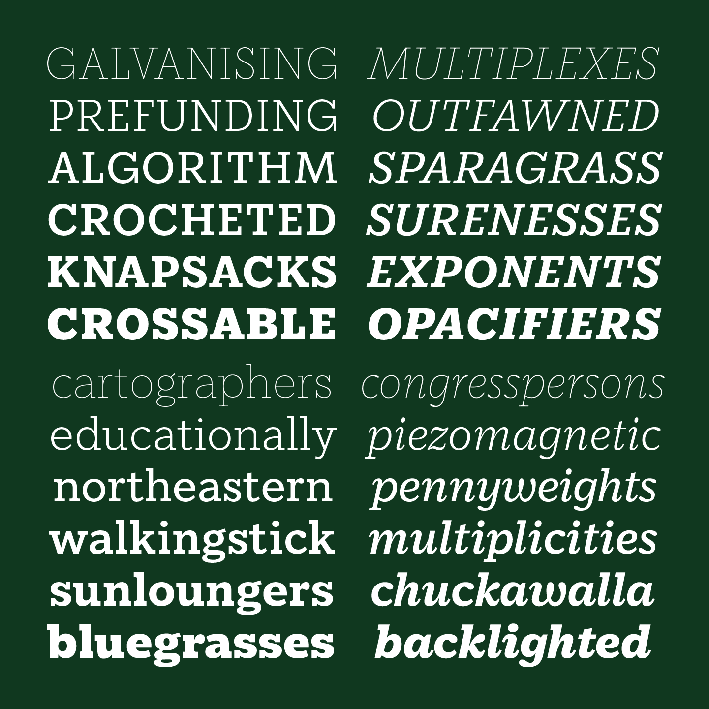 <b class="accent">FIG. 4 — </b> SoDo Serif.